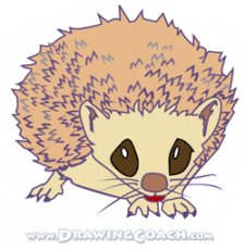 how to draw a cartoon hedgehog st5