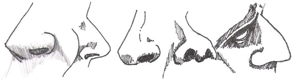 nose drawing 3