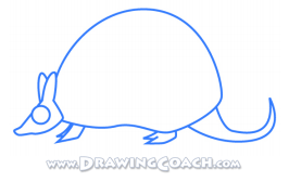 How To Draw An Armadillo 