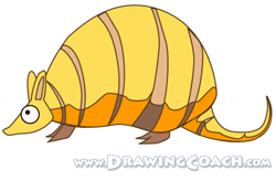 how to draw a armadillo final