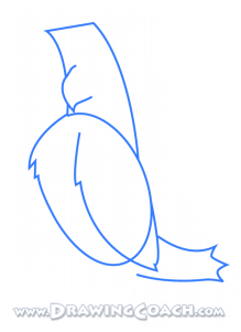 how to draw a cartoon hawk st2